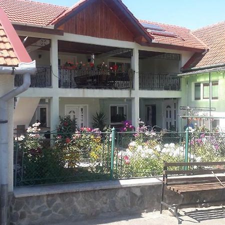 Casa Maria Retezat Guest House Nucsoara  ภายนอก รูปภาพ
