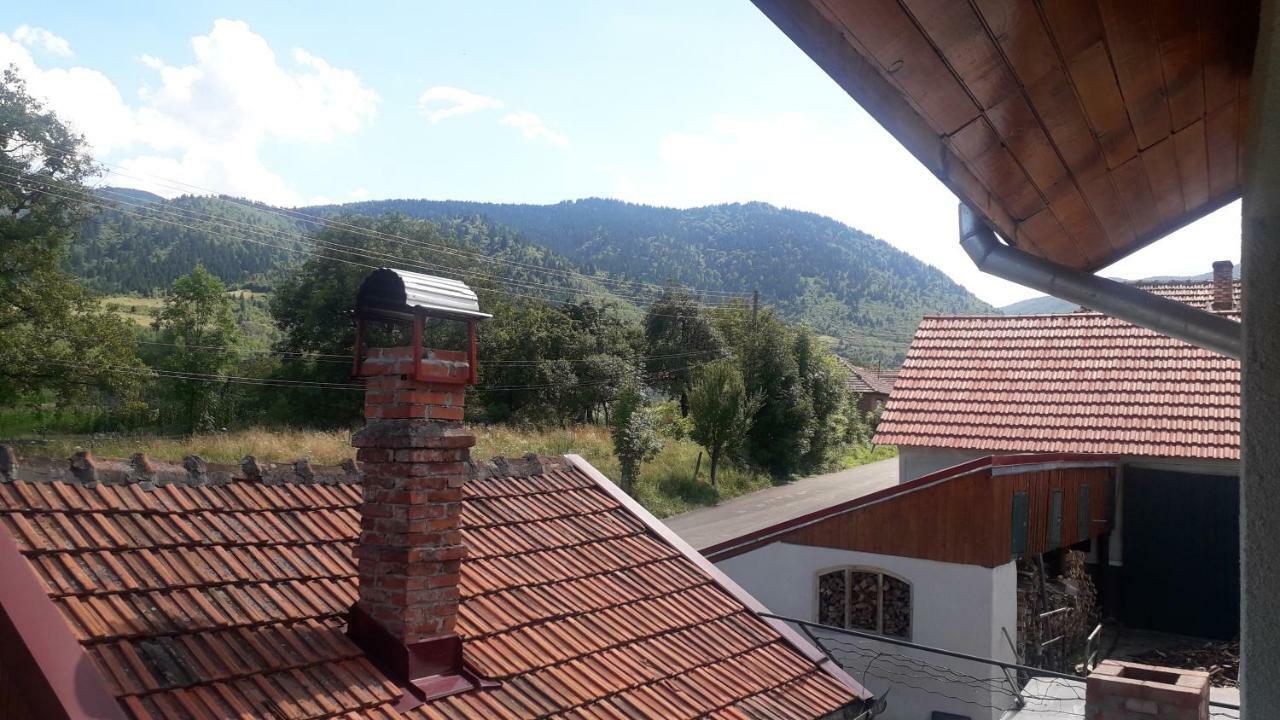 Casa Maria Retezat Guest House Nucsoara  ภายนอก รูปภาพ